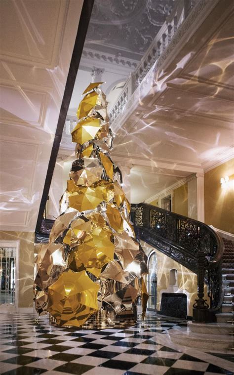 burberry christmas tree|burberry plant images.